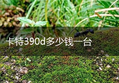 卡特390d多少钱一台