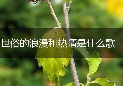 世俗的浪漫和热情是什么歌