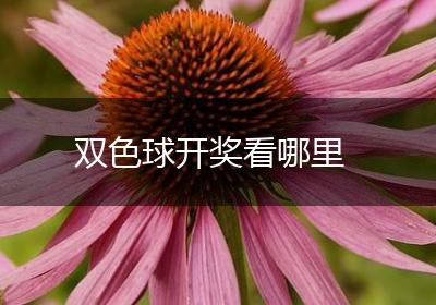 双色球开奖看哪里