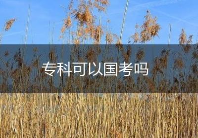 专科可以国考吗