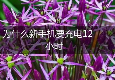 为什么新手机要充电12小时