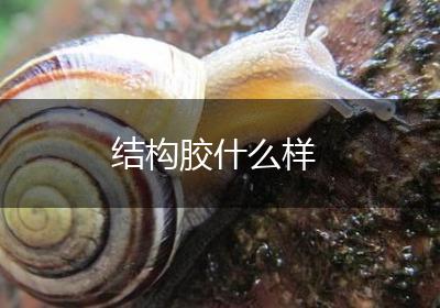 结构胶什么样
