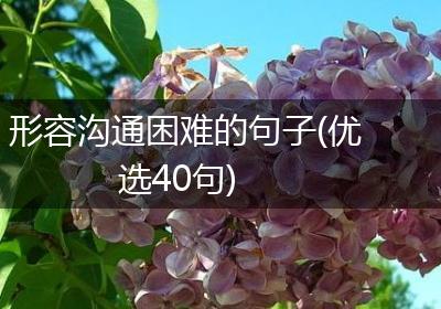 形容沟通困难的句子(优选40句)