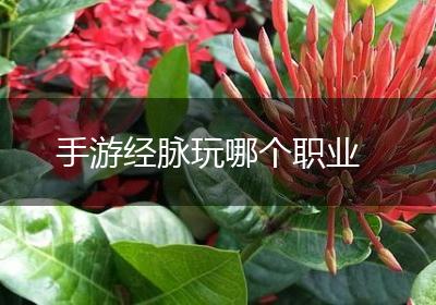 手游经脉玩哪个职业