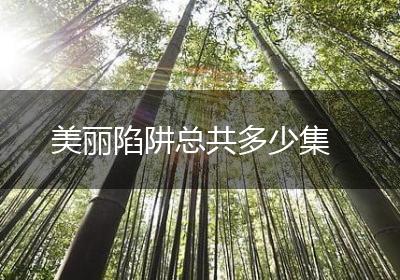 美丽陷阱总共多少集
