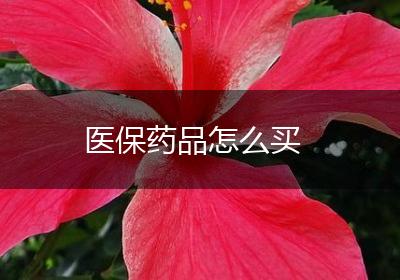 医保药品怎么买