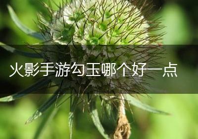 火影手游勾玉哪个好一点