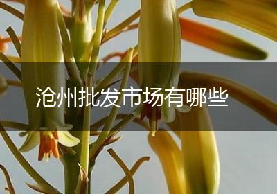 沧州批发市场有哪些