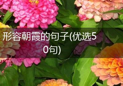 形容朝霞的句子(优选50句)