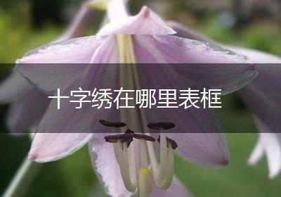 十字绣在哪里表框