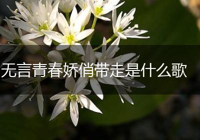 无言青春娇俏带走是什么歌