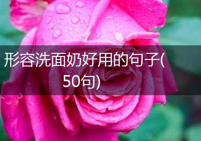 形容洗面奶好用的句子(50句)
