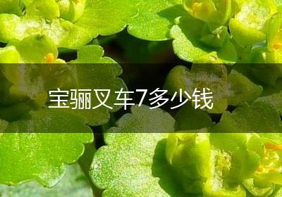 宝骊叉车7多少钱