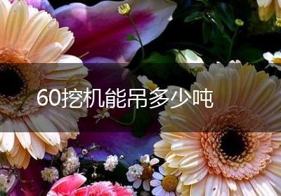 60挖机能吊多少吨