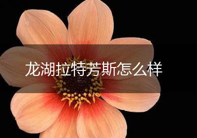 龙湖拉特芳斯怎么样