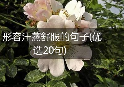 形容汗蒸舒服的句子(优选20句)
