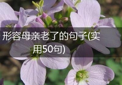形容母亲老了的句子(实用50句)