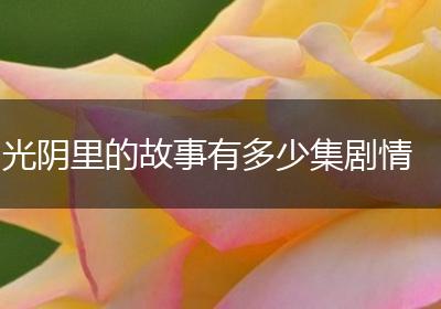 光阴里的故事有多少集剧情