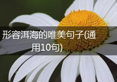 形容洱海的唯美句子(通用10句)