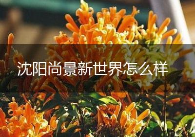 沈阳尚景新世界怎么样