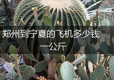 郑州到宁夏的飞机多少钱一公斤