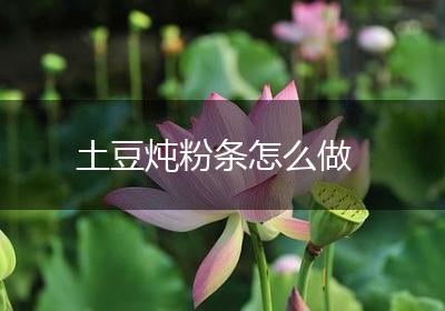 土豆炖粉条怎么做