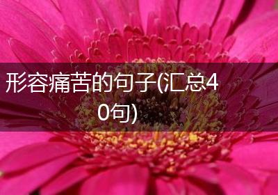 形容痛苦的句子(汇总40句)