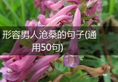 形容男人沧桑的句子(通用50句)