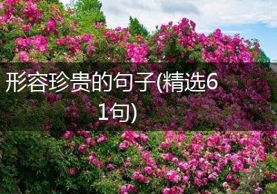 形容珍贵的句子(精选61句)