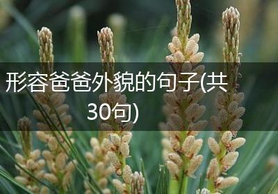 形容爸爸外貌的句子(共30句)