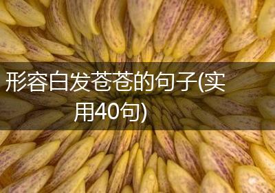 形容白发苍苍的句子(实用40句)