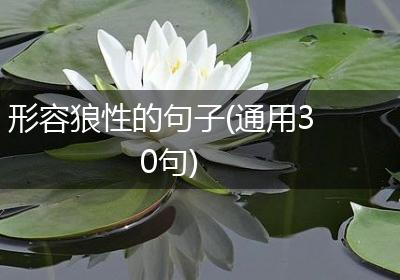 形容狼性的句子(通用30句)