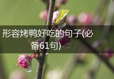 形容烤鸭好吃的句子(必备61句)