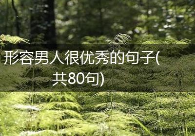 形容男人很优秀的句子(共80句)