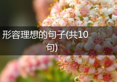 形容理想的句子(共10句)