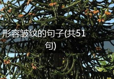 形容皱纹的句子(共51句)