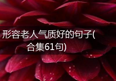 形容老人气质好的句子(合集61句)