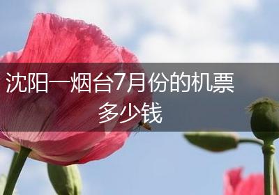 沈阳一烟台7月份的机票多少钱
