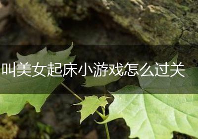 叫美女起床小游戏怎么过关