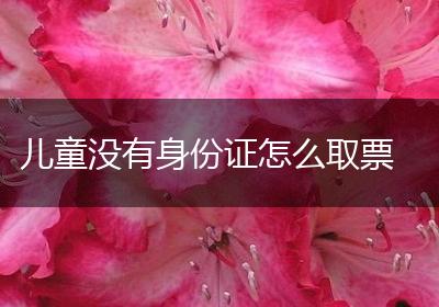 儿童没有身份证怎么取票