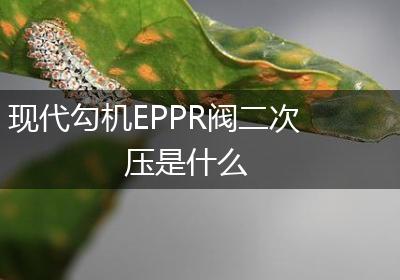 现代勾机EPPR阀二次压是什么