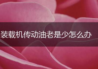 装载机传动油老是少怎么办