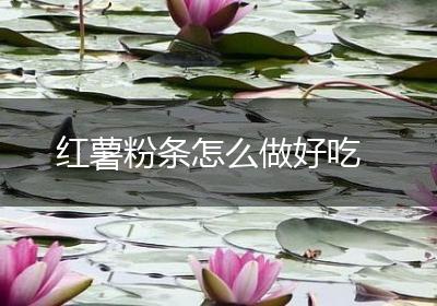 红薯粉条怎么做好吃