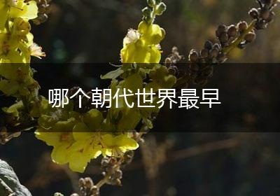 哪个朝代世界最早