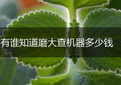 有谁知道磨大查机器多少钱