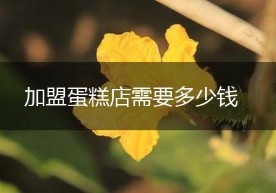 加盟蛋糕店需要多少钱