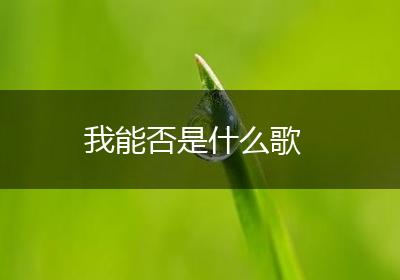 我能否是什么歌