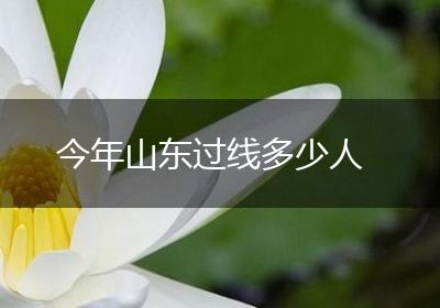 今年山东过线多少人