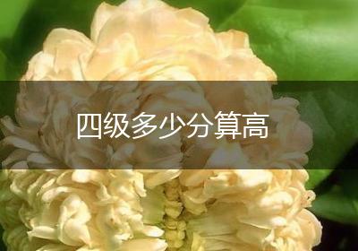 四级多少分算高