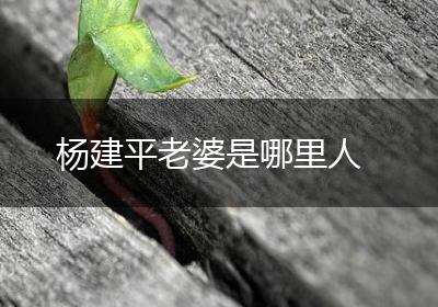 杨建平老婆是哪里人